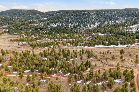 Tiny photo for 14 County Road N 1332, Greer, AZ 85927 (MLS # 259422)