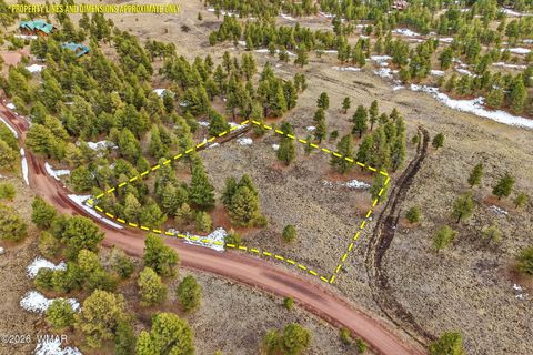 Photo of 14 County Road N 1332, Greer, AZ 85927 (MLS # 259422)