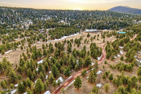 Tiny photo for 14 County Road N 1332, Greer, AZ 85927 (MLS # 259422)