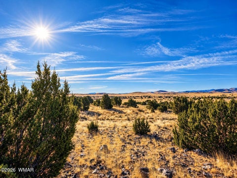 Photo of 19 N5232, Concho, AZ 85924 (MLS # 263276)