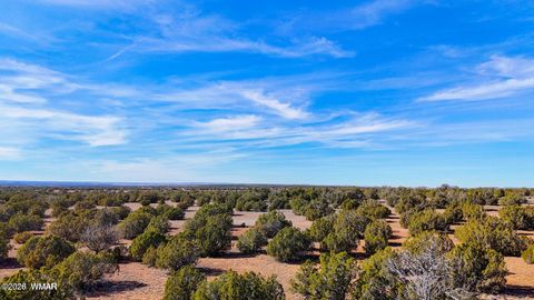 Tiny photo for 9023 Appaloosa Trail Lot D 10 Acres Trl, Show Low, AZ 85901 (MLS # 260459)