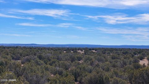 Tiny photo for 9023 Appaloosa Trail Lot D 10 Acres Trl, Show Low, AZ 85901 (MLS # 260459)