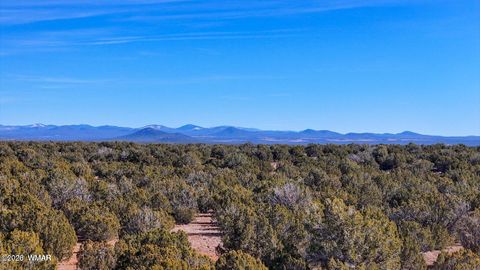 Photo of 9023 Appaloosa Trail Lot D 10 Acres Trl, Show Low, AZ 85901 (MLS # 260459)