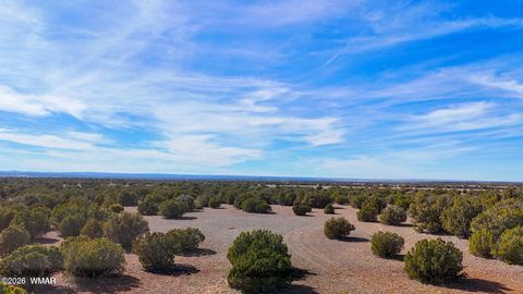 Tiny photo for 9023 Appaloosa Trail Lot D 10 Acres Trl, Show Low, AZ 85901 (MLS # 260459)