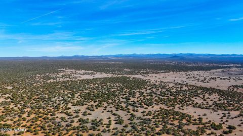 Tiny photo for 9023 Appaloosa Trail Lot D 10 Acres Trl, Show Low, AZ 85901 (MLS # 260459)