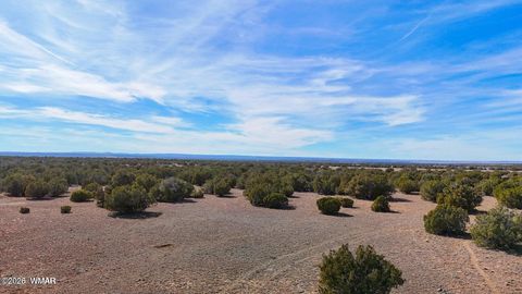 Tiny photo for 9023 Appaloosa Trail Lot D 10 Acres Trl, Show Low, AZ 85901 (MLS # 260459)