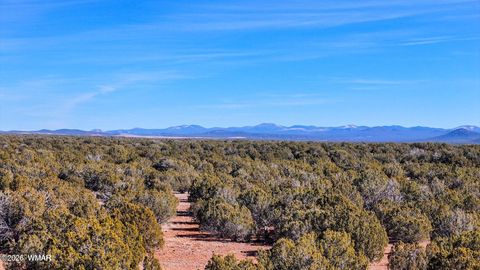 Tiny photo for 9023 Appaloosa Trail Lot D 10 Acres Trl, Show Low, AZ 85901 (MLS # 260459)