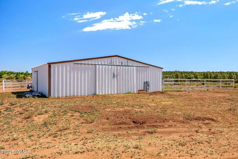 Tiny photo for 7070 Juniper Way, Show Low, AZ 85901 (MLS # 256973)
