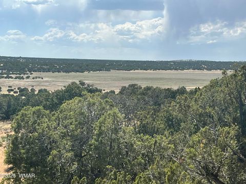 Photo of Lot 122/123, Concho, AZ 85924 (MLS # 258571)