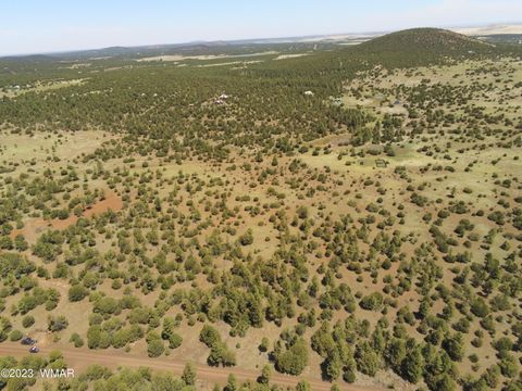 Tiny photo for TBD N3263 Parcel 1, Vernon, AZ 85940 (MLS # 254390)