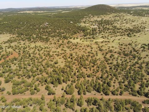 Tiny photo for TBD N3263 Parcel 1, Vernon, AZ 85940 (MLS # 254390)