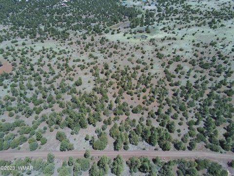 Tiny photo for TBD N3263 Parcel 1, Vernon, AZ 85940 (MLS # 254390)