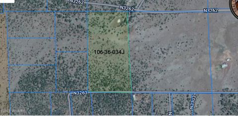 Tiny photo for TBD N3263 Parcel 1, Vernon, AZ 85940 (MLS # 254390)