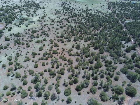Tiny photo for TBD N3263 Parcel 1, Vernon, AZ 85940 (MLS # 254390)