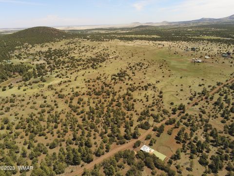 Tiny photo for TBD N3263 Parcel 1, Vernon, AZ 85940 (MLS # 254390)