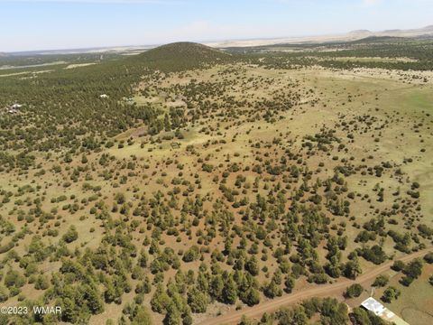 Photo of TBD N3263 Parcel 1, Vernon, AZ 85940 (MLS # 254390)