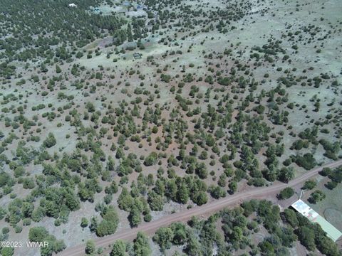 Tiny photo for TBD N3263 Parcel 1, Vernon, AZ 85940 (MLS # 254390)
