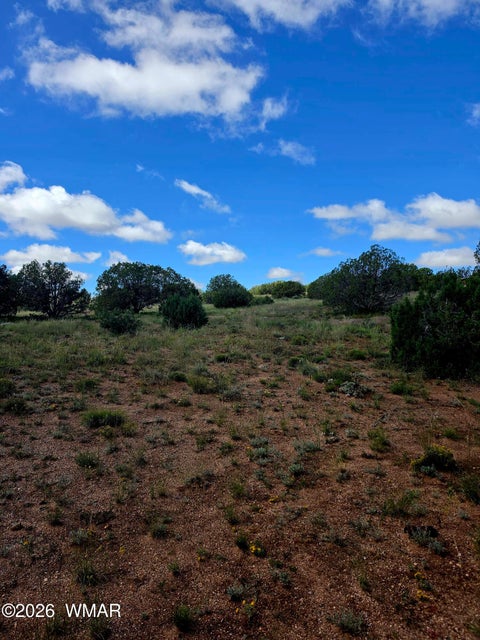 Tiny photo for 4428 Colt Road, Snowflake, AZ 85937 (MLS # 263408)