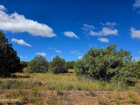 Tiny photo for 4428 Colt Road, Snowflake, AZ 85937 (MLS # 263408)