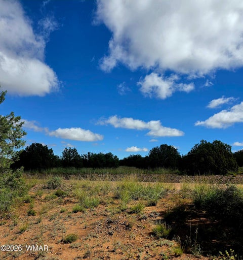 Tiny photo for 4428 Colt Road, Snowflake, AZ 85937 (MLS # 263408)