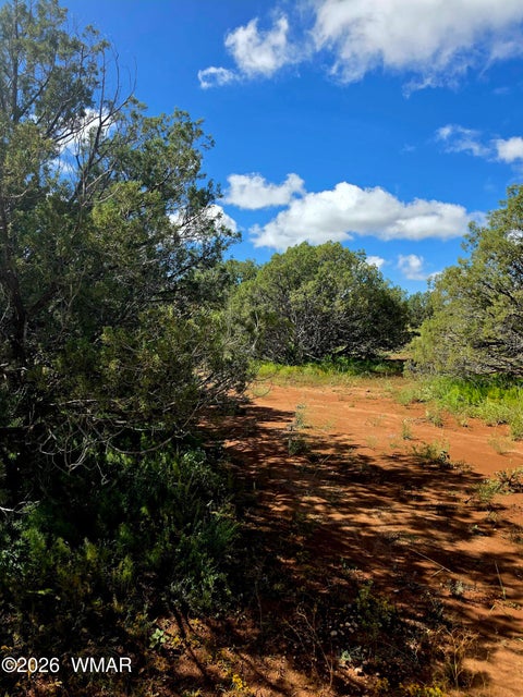 Tiny photo for 4428 Colt Road, Snowflake, AZ 85937 (MLS # 263408)