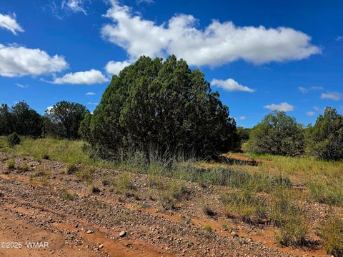 Photo of 4428 Colt Road, Snowflake, AZ 85937 (MLS # 263408)