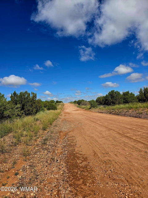 Tiny photo for 4428 Colt Road, Snowflake, AZ 85937 (MLS # 263408)