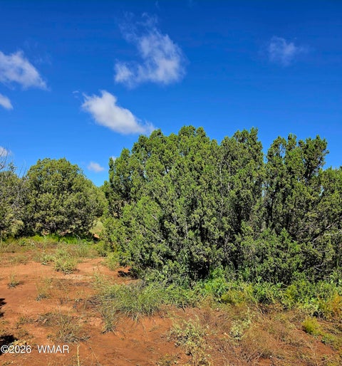 Tiny photo for 4428 Colt Road, Snowflake, AZ 85937 (MLS # 263408)