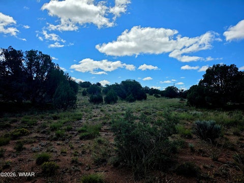 Tiny photo for 4428 Colt Road, Snowflake, AZ 85937 (MLS # 263408)