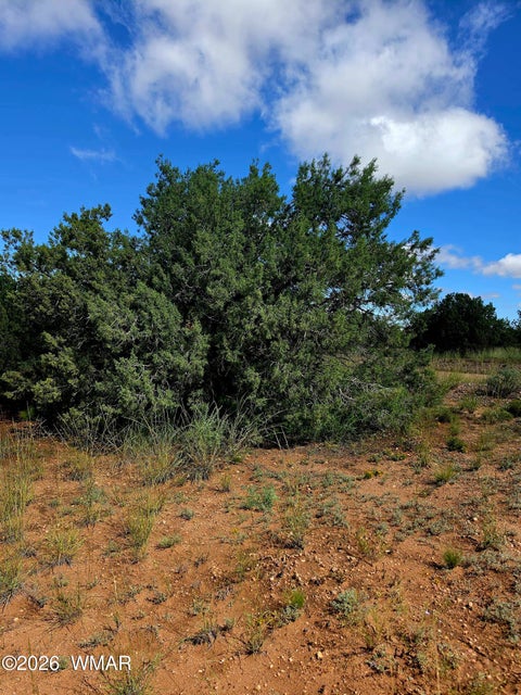 Tiny photo for 4428 Colt Road, Snowflake, AZ 85937 (MLS # 263408)