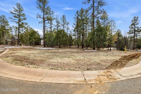 Photo of 2480 Narrow Leaf Lane, Show Low, AZ 85901 (MLS # 259406)