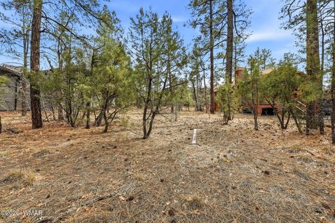 Tiny photo for 2480 Narrow Leaf Lane, Show Low, AZ 85901 (MLS # 259406)