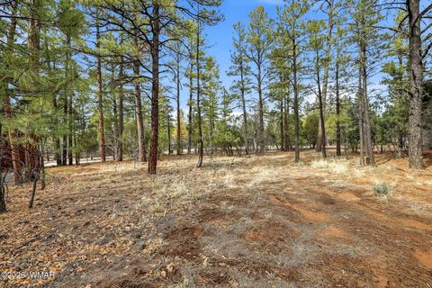Tiny photo for 2480 Narrow Leaf Lane, Show Low, AZ 85901 (MLS # 259406)