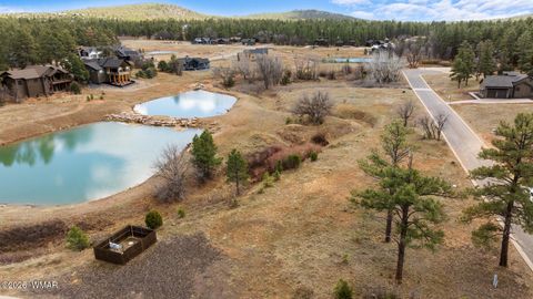 Tiny photo for 1261 S Lakeside Trail, Show Low, AZ 85901 (MLS # 260015)