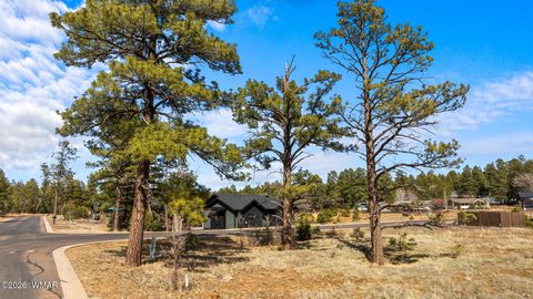 Tiny photo for 1261 S Lakeside Trail, Show Low, AZ 85901 (MLS # 260015)