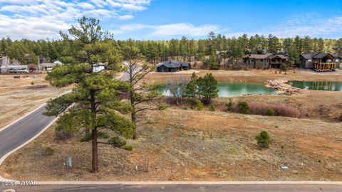 Photo of 1261 S Lakeside Trail, Show Low, AZ 85901 (MLS # 260015)
