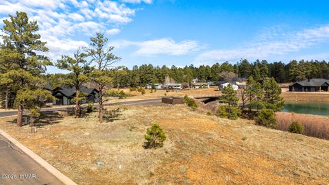 Tiny photo for 1261 S Lakeside Trail, Show Low, AZ 85901 (MLS # 260015)