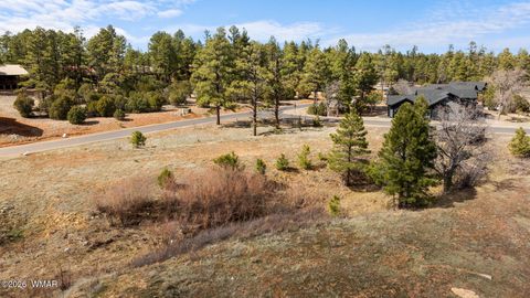 Tiny photo for 1261 S Lakeside Trail, Show Low, AZ 85901 (MLS # 260015)