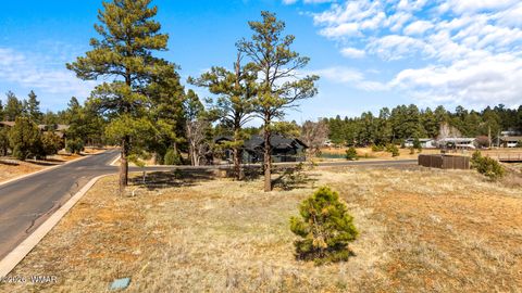 Tiny photo for 1261 S Lakeside Trail, Show Low, AZ 85901 (MLS # 260015)