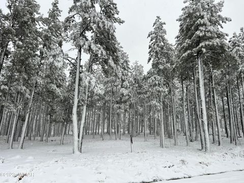 Tiny photo for 9586 Sierra Springs Way, Pinetop, AZ 85935 (MLS # 253049)