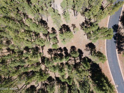 Photo of 9586 Sierra Springs Way, Pinetop, AZ 85935 (MLS # 253049)