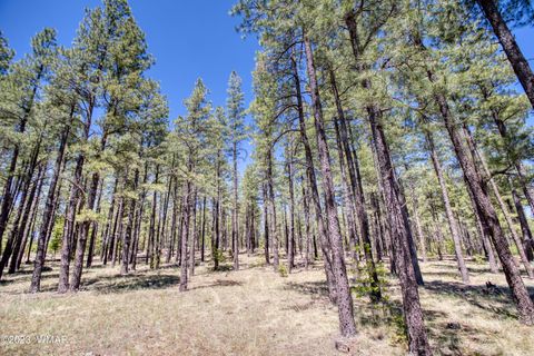 Tiny photo for 9586 Sierra Springs Way, Pinetop, AZ 85935 (MLS # 253049)