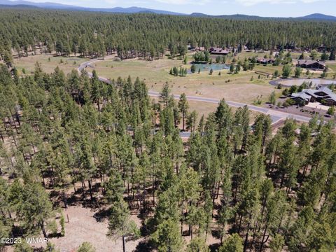 Tiny photo for 9586 Sierra Springs Way, Pinetop, AZ 85935 (MLS # 253049)