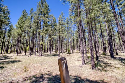 Tiny photo for 9586 Sierra Springs Way, Pinetop, AZ 85935 (MLS # 253049)