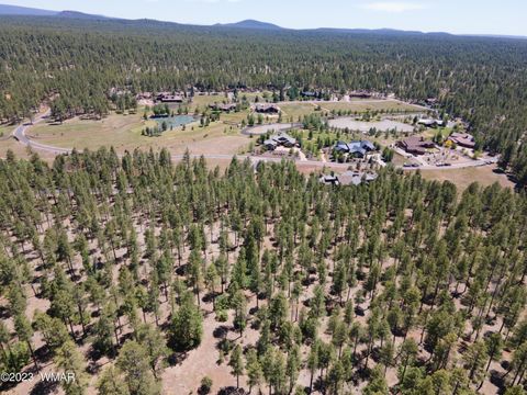Tiny photo for 9586 Sierra Springs Way, Pinetop, AZ 85935 (MLS # 253049)