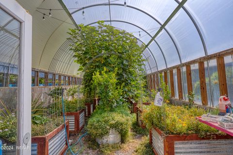 Tiny photo for 1108 Pearce Road, Show Low, AZ 85901 (MLS # 259556)