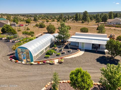 Tiny photo for 1108 Pearce Road, Show Low, AZ 85901 (MLS # 259556)