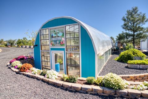 Tiny photo for 1108 Pearce Road, Show Low, AZ 85901 (MLS # 259556)