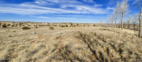 Tiny photo for 1960 S Blossom Lane, Taylor, AZ 85939 (MLS # 254430)