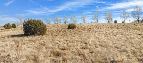 Tiny photo for 1960 S Blossom Lane, Taylor, AZ 85939 (MLS # 254430)